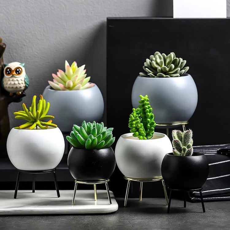 Mini Succulents Planter - foxberryparkproducts