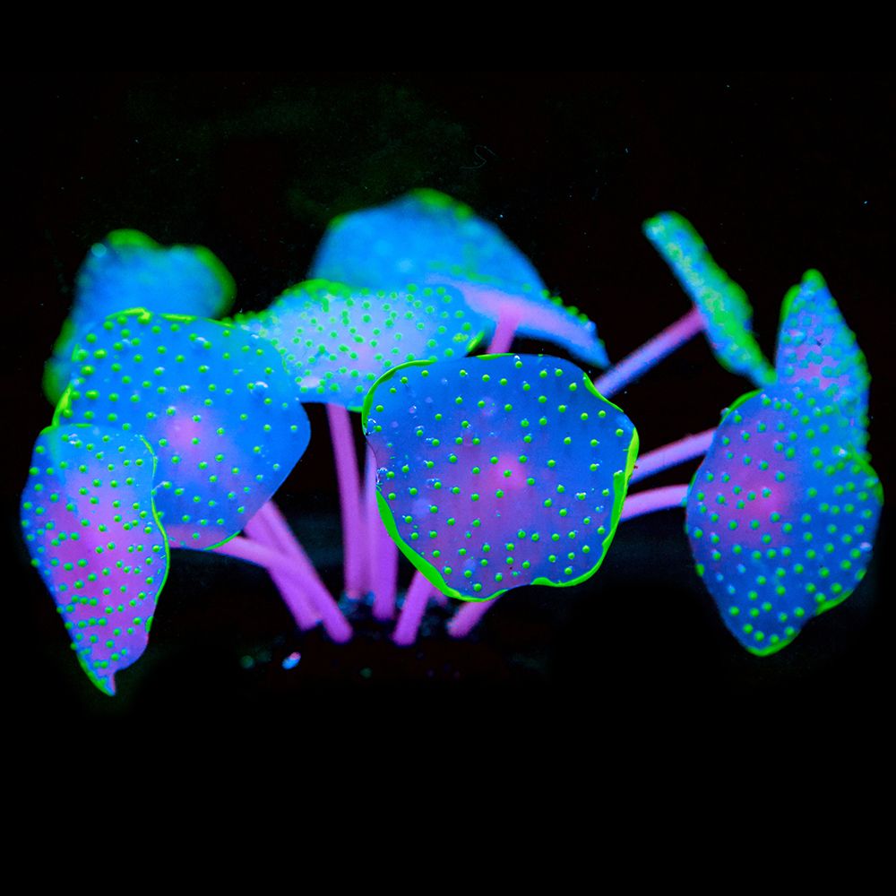 11 Leaves Silicone Glowing Artificial Fish Tank Aquarium Coral Plants Underwater Ornament Fish Tank Aquarium Decor Accessories - foxberryparkproducts