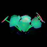 11 Leaves Silicone Glowing Artificial Fish Tank Aquarium Coral Plants Underwater Ornament Fish Tank Aquarium Decor Accessories - foxberryparkproducts