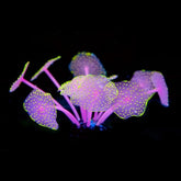 11 Leaves Silicone Glowing Artificial Fish Tank Aquarium Coral Plants Underwater Ornament Fish Tank Aquarium Decor Accessories - foxberryparkproducts