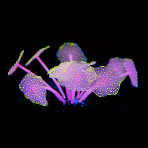 11 Leaves Silicone Glowing Artificial Fish Tank Aquarium Coral Plants Underwater Ornament Fish Tank Aquarium Decor Accessories - foxberryparkproducts