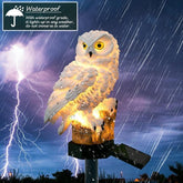 solar power led garden light outdoor Waterproof - foxberryparkproducts