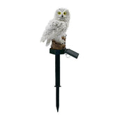 solar power led garden light outdoor Waterproof - foxberryparkproducts
