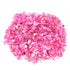 Fish Tank Aquarium 50g/Bag Mixed Quartz Crystal Stone Rock Gravel Tumble Stones Minerals - foxberryparkproducts