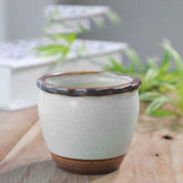 Mini Thumb Flower Pot Retro Crease - foxberryparkproducts
