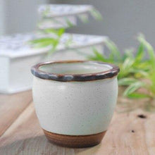 Load image into Gallery viewer, Mini Thumb Flower Pot Retro Crease - foxberryparkproducts
