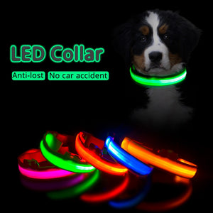 USB Charging Led Dog Collar Anti-Lost/Avoid Car Accident Collar For Dogs Puppies Dog Collars Leads LED Supplies Pet Products - foxberryparkproducts