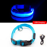 USB Charging Led Dog Collar Anti-Lost/Avoid Car Accident Collar For Dogs Puppies Dog Collars Leads LED Supplies Pet Products - foxberryparkproducts