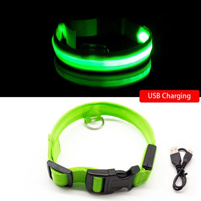 USB Charging Led Dog Collar Anti-Lost/Avoid Car Accident Collar For Dogs Puppies Dog Collars Leads LED Supplies Pet Products - foxberryparkproducts