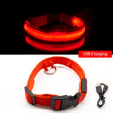 USB Charging Led Dog Collar Anti-Lost/Avoid Car Accident Collar For Dogs Puppies Dog Collars Leads LED Supplies Pet Products - foxberryparkproducts
