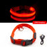 USB Charging Led Dog Collar Anti-Lost/Avoid Car Accident Collar For Dogs Puppies Dog Collars Leads LED Supplies Pet Products - foxberryparkproducts