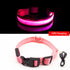 USB Charging Led Dog Collar Anti-Lost/Avoid Car Accident Collar For Dogs Puppies Dog Collars Leads LED Supplies Pet Products - foxberryparkproducts
