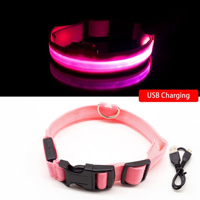 USB Charging Led Dog Collar Anti-Lost/Avoid Car Accident Collar For Dogs Puppies Dog Collars Leads LED Supplies Pet Products - foxberryparkproducts