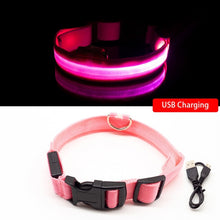 Load image into Gallery viewer, USB Charging Led Dog Collar Anti-Lost/Avoid Car Accident Collar For Dogs Puppies Dog Collars Leads LED Supplies Pet Products - foxberryparkproducts
