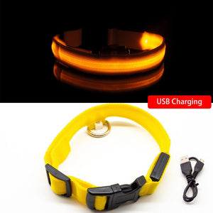USB Charging Led Dog Collar Anti-Lost/Avoid Car Accident Collar For Dogs Puppies Dog Collars Leads LED Supplies Pet Products - foxberryparkproducts