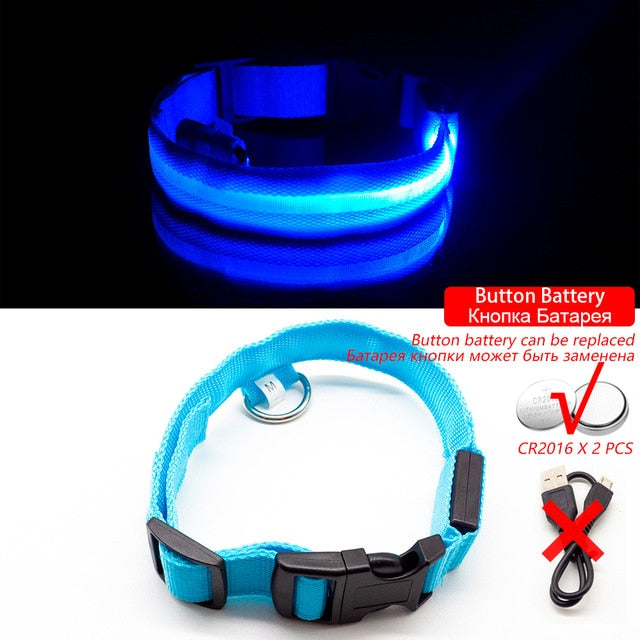 USB Charging Led Dog Collar Anti-Lost/Avoid Car Accident Collar For Dogs Puppies Dog Collars Leads LED Supplies Pet Products - foxberryparkproducts