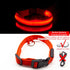 USB Charging Led Dog Collar Anti-Lost/Avoid Car Accident Collar For Dogs Puppies Dog Collars Leads LED Supplies Pet Products - foxberryparkproducts