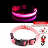 USB Charging Led Dog Collar Anti-Lost/Avoid Car Accident Collar For Dogs Puppies Dog Collars Leads LED Supplies Pet Products - foxberryparkproducts