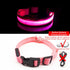 USB Charging Led Dog Collar Anti-Lost/Avoid Car Accident Collar For Dogs Puppies Dog Collars Leads LED Supplies Pet Products - foxberryparkproducts