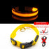 USB Charging Led Dog Collar Anti-Lost/Avoid Car Accident Collar For Dogs Puppies Dog Collars Leads LED Supplies Pet Products - foxberryparkproducts