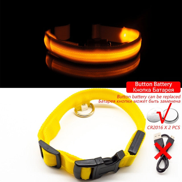 USB Charging Led Dog Collar Anti-Lost/Avoid Car Accident Collar For Dogs Puppies Dog Collars Leads LED Supplies Pet Products - foxberryparkproducts