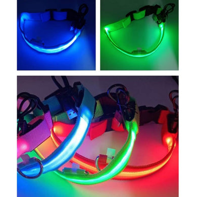 Luminous Dog Collar Led USB Collar Personalized Rechargeable Light For Small Large Dog - foxberryparkproducts