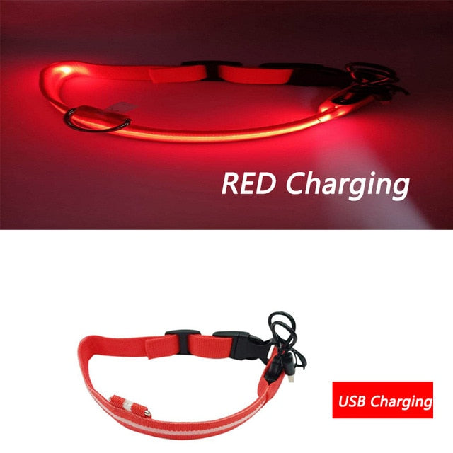 Luminous Dog Collar Led USB Collar Personalized Rechargeable Light For Small Large Dog - foxberryparkproducts