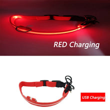 Load image into Gallery viewer, Luminous Dog Collar Led USB Collar Personalized Rechargeable Light For Small Large Dog - foxberryparkproducts
