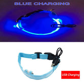 Luminous Dog Collar Led USB Collar Personalized Rechargeable Light For Small Large Dog - foxberryparkproducts