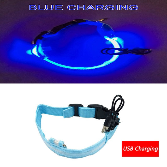 Luminous Dog Collar Led USB Collar Personalized Rechargeable Light For Small Large Dog - foxberryparkproducts