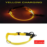 Luminous Dog Collar Led USB Collar Personalized Rechargeable Light For Small Large Dog - foxberryparkproducts