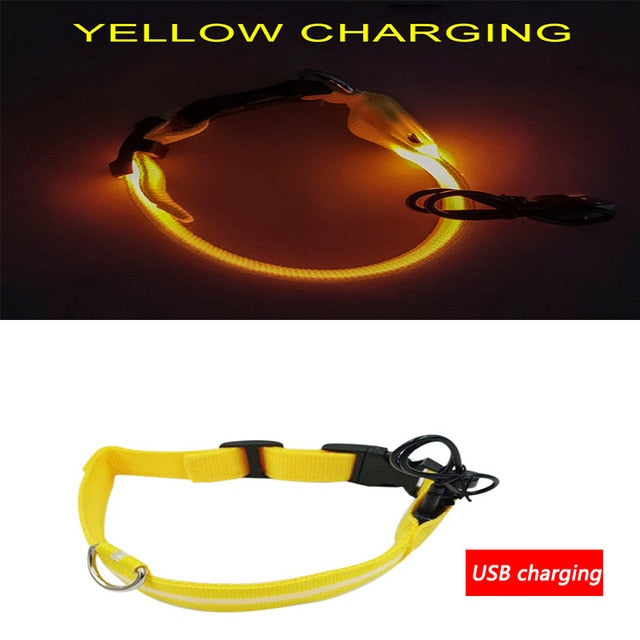 Luminous Dog Collar Led USB Collar Personalized Rechargeable Light For Small Large Dog - foxberryparkproducts