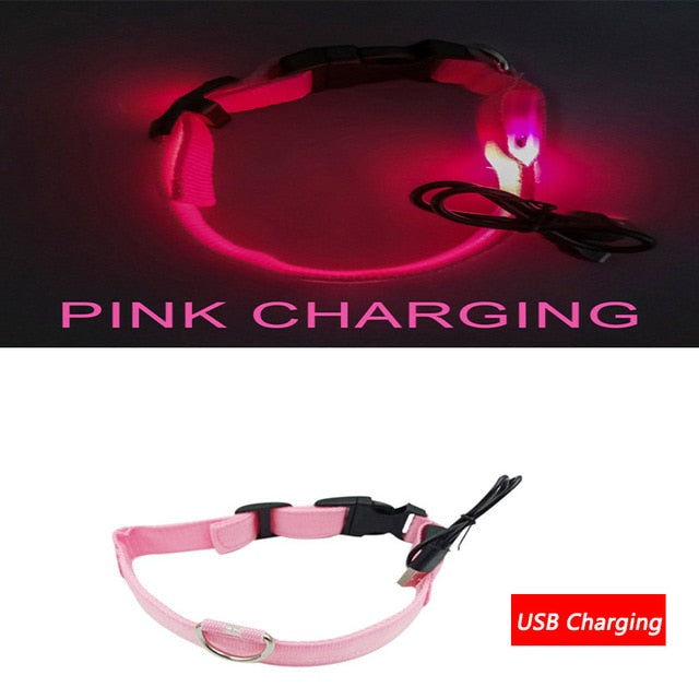 Luminous Dog Collar Led USB Collar Personalized Rechargeable Light For Small Large Dog - foxberryparkproducts