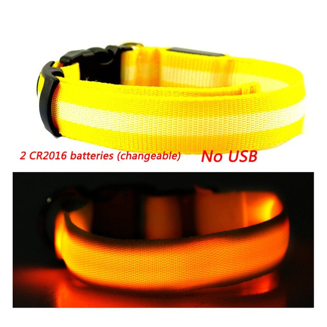 Luminous Dog Collar Led USB Collar Personalized Rechargeable Light For Small Large Dog - foxberryparkproducts