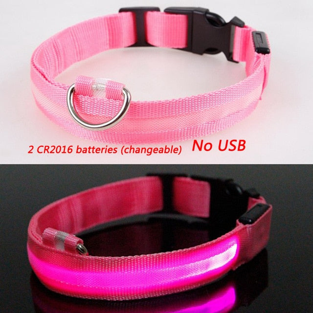 Luminous Dog Collar Led USB Collar Personalized Rechargeable Light For Small Large Dog - foxberryparkproducts