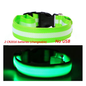 Luminous Dog Collar Led USB Collar Personalized Rechargeable Light For Small Large Dog - foxberryparkproducts