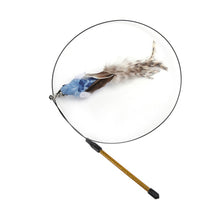 Load image into Gallery viewer, Fun Simulation Bird interactive Cat Toy - foxberryparkproducts
